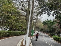 -凤岗南门山森林公园