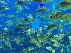 -海合安成都极地海洋公园