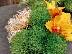 -丰收日(五角场店)