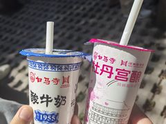 -洛阳白马寺