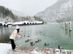 -柯尼希湖
