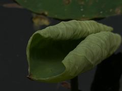 -太阳宫公园