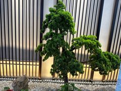 -俏陵轩·南京本土菜(奥体博览中心店)