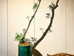 -陶醉馆·艺术雅集私宴