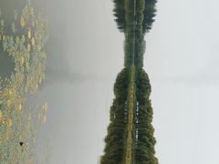 -稻香湖景欢乐岛温泉城堡