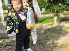 -前小桔亲子创意农场·草莓采摘·露营烧烤