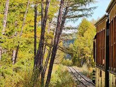 -莫尔道嘎国家森林公园