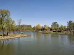 -东郊湿地公园