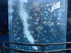 -厦门海底世界