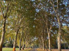 -河南省黄河迎宾馆