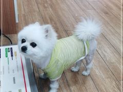 -瑞派·关忠动物医院·异宠专科·犬猫肿瘤·皮肤专科(望京店)