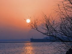 -上海吴淞炮台湾国家湿地公园