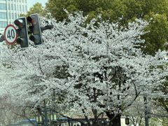 -上海外滩茂悦大酒店
