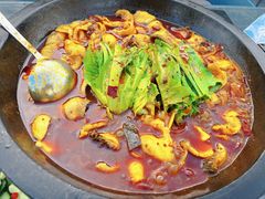 -都江堰石锅鱼