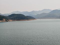 -望湖烤鱼