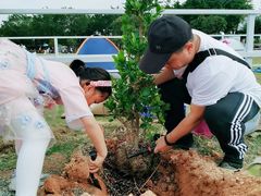-长洲岛都市农业公园