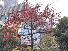 -晓港公园