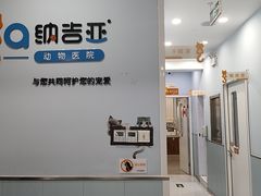 -纳吉亚猫专科动物诊疗中心(蒋宅口分院)