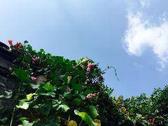 -东关历史文化旅游区-东门遗址