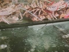 -岛中岛·海鲜大排档·万宁老字号(东澳店)