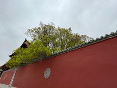-塔尔寺游客服务中心