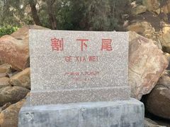 -西澳岛