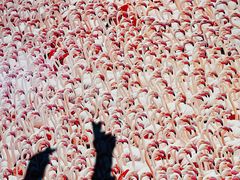 -罗红摄影艺术馆