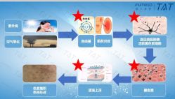 -雅曼妮spa美容养生