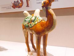-深圳博物馆(古代艺术馆)