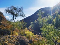 -百里山水画廊乌龙峡谷