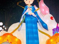 -映月湖公园