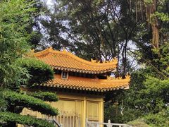 -深圳国际园林花卉博览园