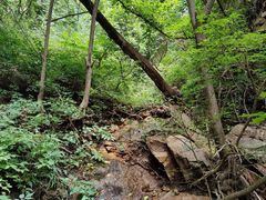-大岭沟猕猴桃谷风景区
