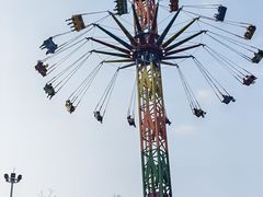 -洋湖国家湿地公园