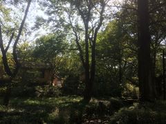 -法云古村