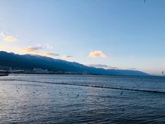 -恋羊时代黑山羊火锅(滨海大道店)