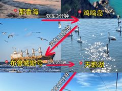 -幸福门