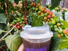 -后谷咖啡(建设巷店)