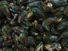 android_upload_pic-浪琴湾尾角仔海鲜坊