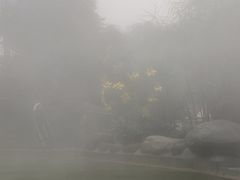 -花水湾第一村温泉大酒店