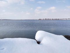 -漕湖湿地公园