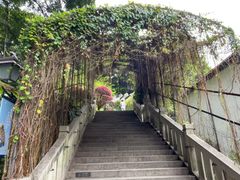 -乌山风景区