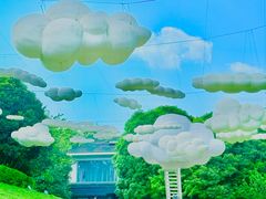 -南山植物园
