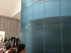 -深圳东部华侨城瀑布酒店