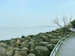 -上海吴淞炮台湾国家湿地公园
