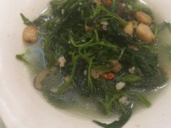 上汤桑叶-权记避风塘(鸿记店)