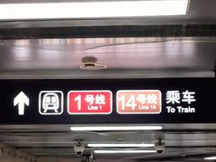 -大望路(地铁站)