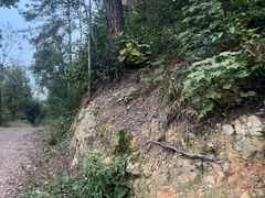 -青龙山国家森林公园