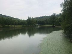 -上海佘山世茂艾美酒店