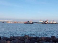 -吴淞炮台湾湿地森林公园烧烤区